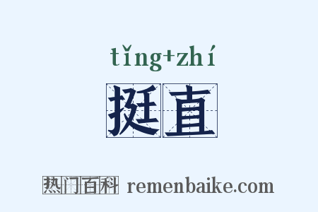 挺直是什么意思的图片
